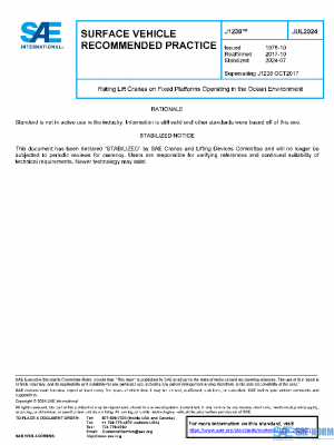 SAE J1238_202407 PDF
