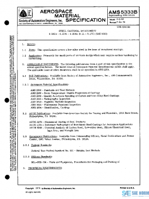 SAE AMS5333B PDF