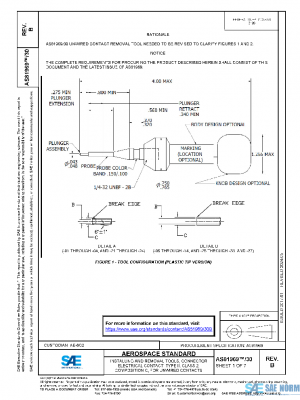 SAE AS81969/30B PDF