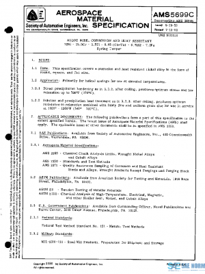SAE AMS5699C PDF