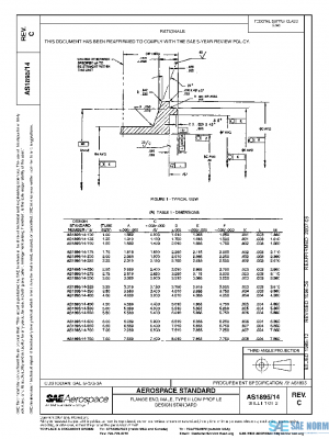 SAE AS1895/14C PDF