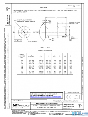 SAE AS125251B PDF