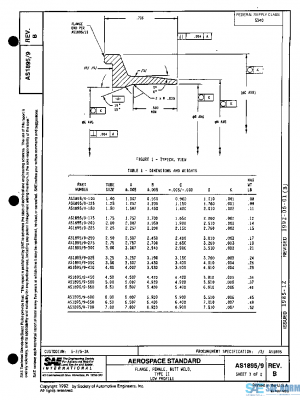 SAE AS1895/9B PDF