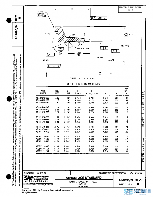 SAE AS1895/9B PDF