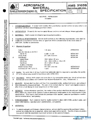 SAE AMS3165B PDF