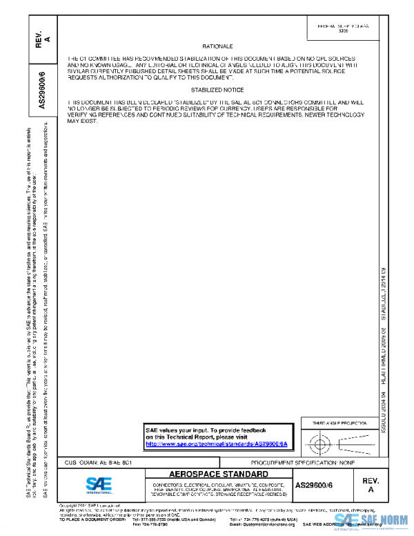 SAE AS29600/6A PDF