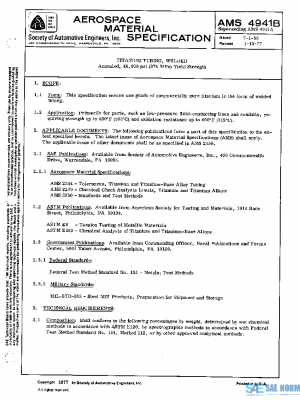 SAE AMS4941B PDF