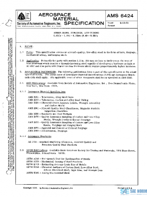 SAE AMS6424 PDF