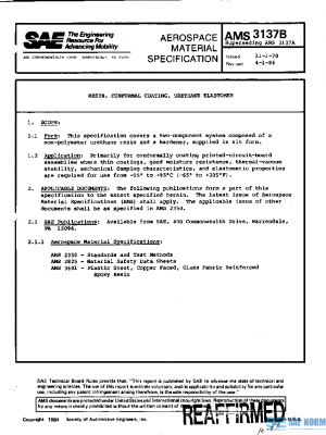 SAE AMS3137B PDF