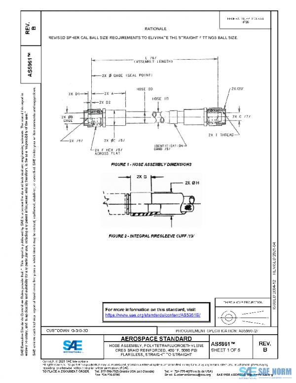 SAE AS5961B PDF