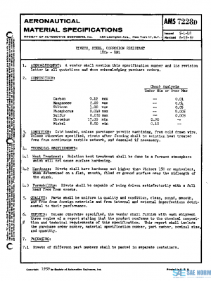 SAE AMS7228D PDF