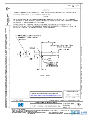 SAE AS125551C PDF