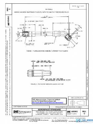 SAE AS5953C PDF