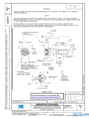 SAE AS9576E PDF