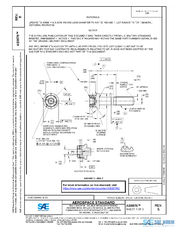 SAE AS9576E PDF
