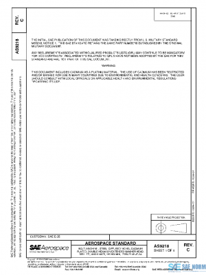 SAE AS9218C PDF