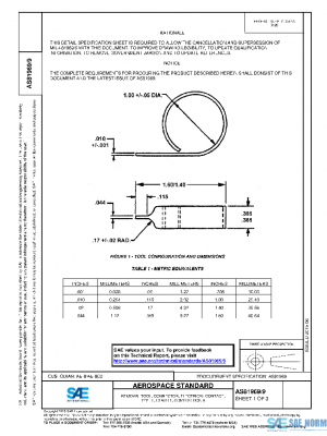 SAE AS81969/9 PDF