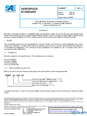 SAE AS29606A PDF