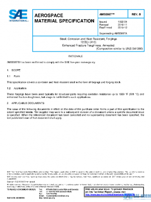 SAE AMS5867B PDF