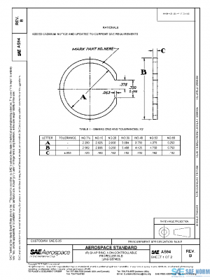 SAE AS94B PDF