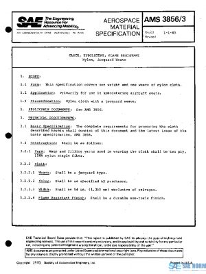 SAE AMS3856/3 PDF