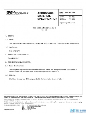 SAE AMS3217/3B PDF