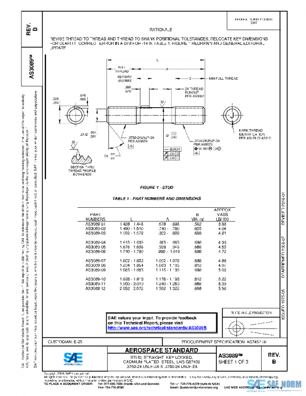 SAE AS3089B PDF