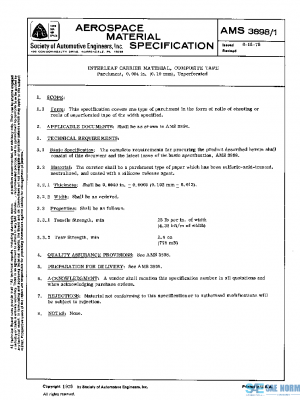 SAE AMS3898/1 PDF