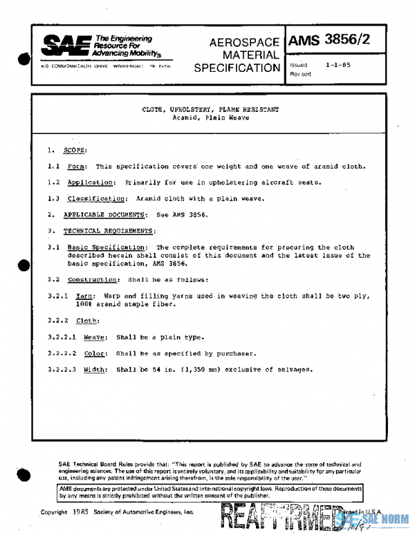 SAE AMS3856/2 PDF