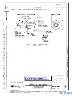 SAE AS4309C PDF