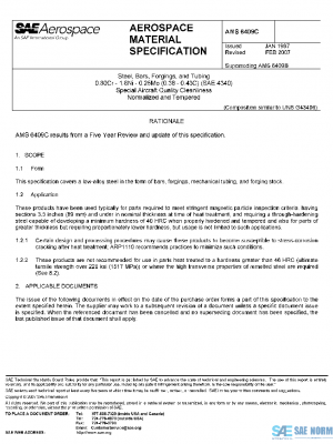 SAE AMS6409C PDF