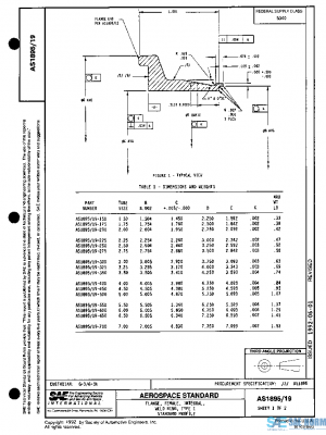 SAE AS1895/19 PDF