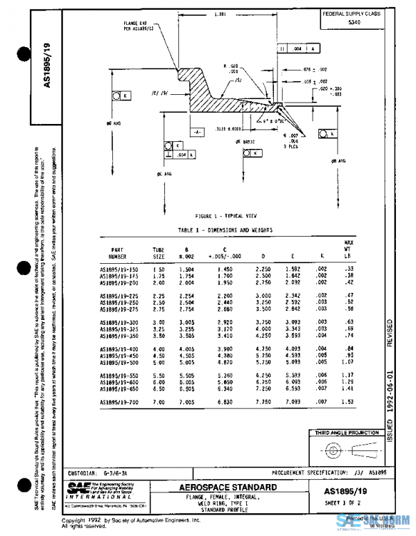 SAE AS1895/19 PDF