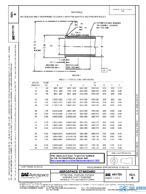 SAE AS1720B PDF