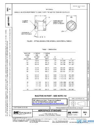 SAE AS4861A PDF