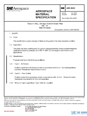 SAE AMS4905C PDF