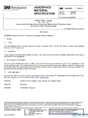 SAE AMS4983E PDF