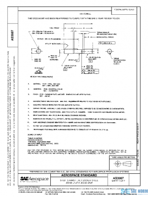 SAE AS3087 PDF