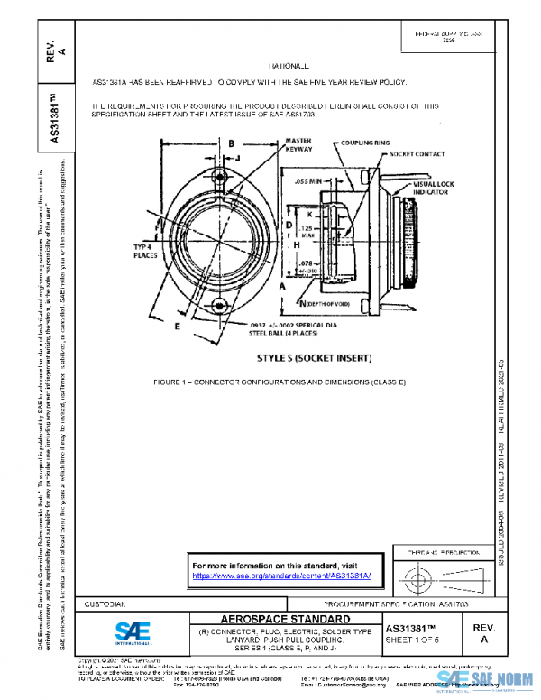 SAE AS31381A PDF