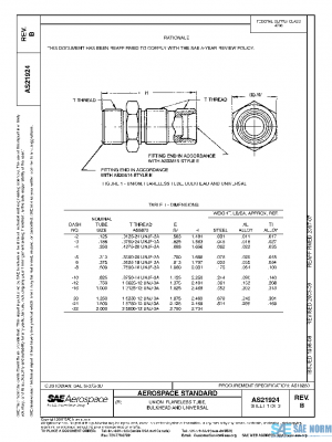 SAE AS21924B PDF