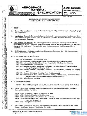 SAE AMS6290E PDF