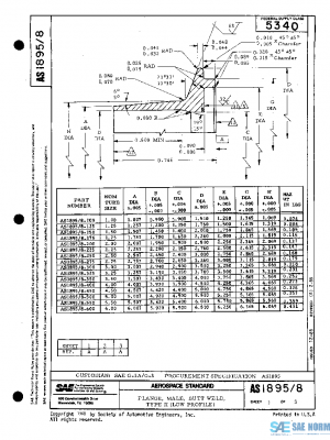 SAE AS1895/8A PDF
