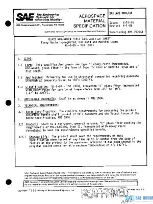 SAE AMS3906/3A PDF