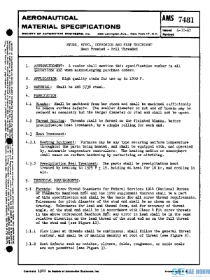SAE AMS7481 PDF