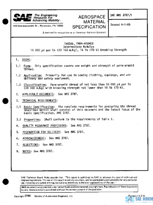 SAE AMS3787/1 PDF