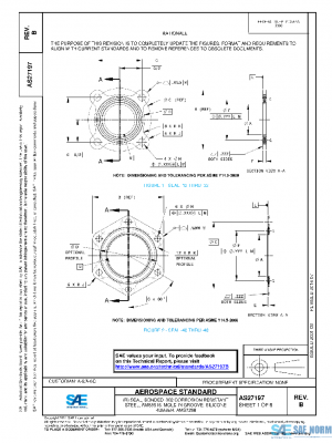SAE AS27197B PDF
