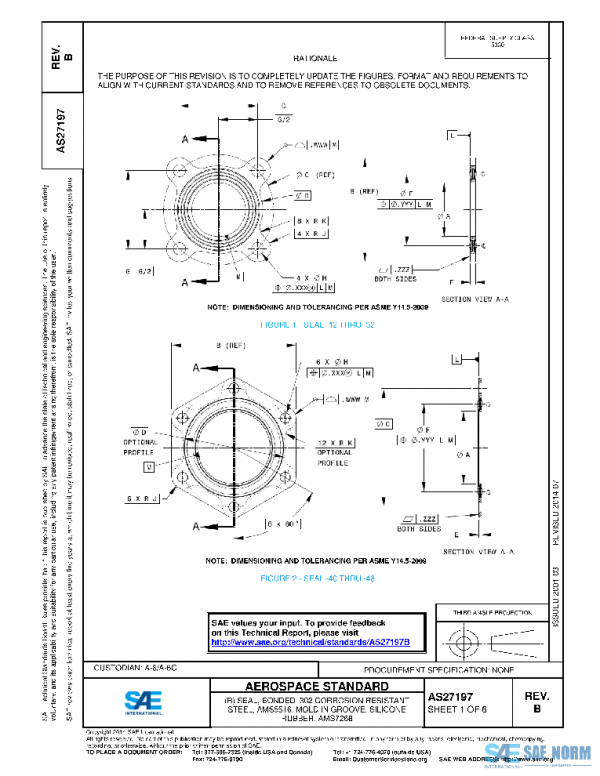 SAE AS27197B PDF
