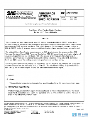 SAE AMSS18732A PDF