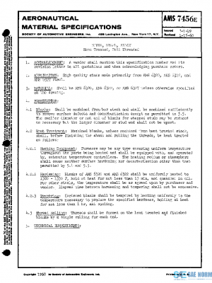 SAE AMS7456E PDF
