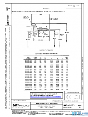 SAE AS1895/9C PDF